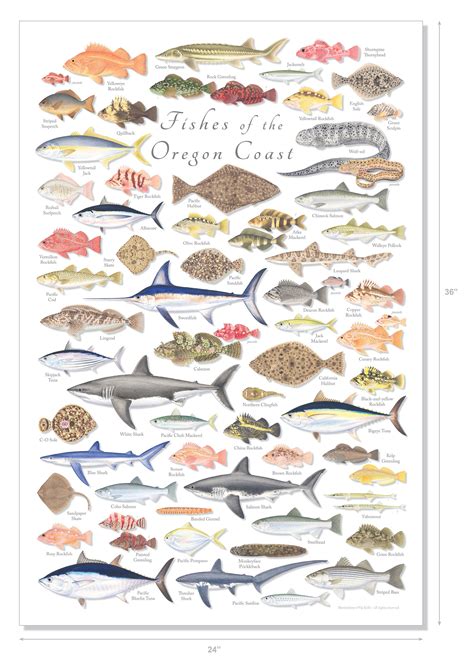 oregon fish game|types of fish in oregon.